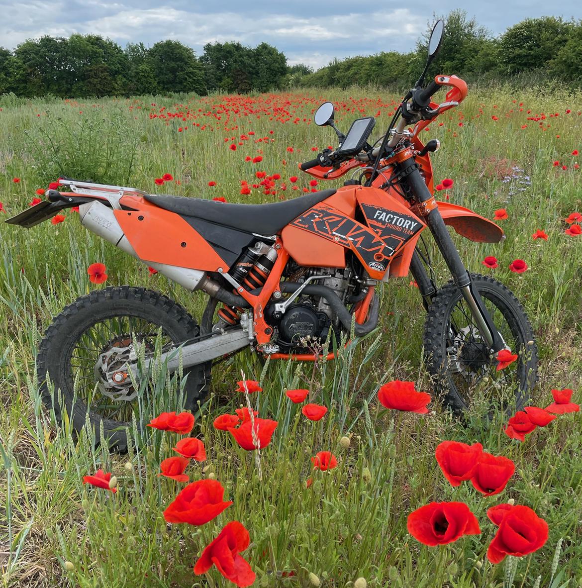 KTM 525 EXC billede 31