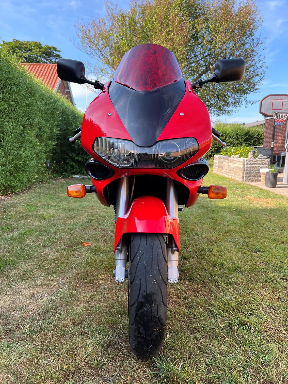 Suzuki TL 1000 S billede 4