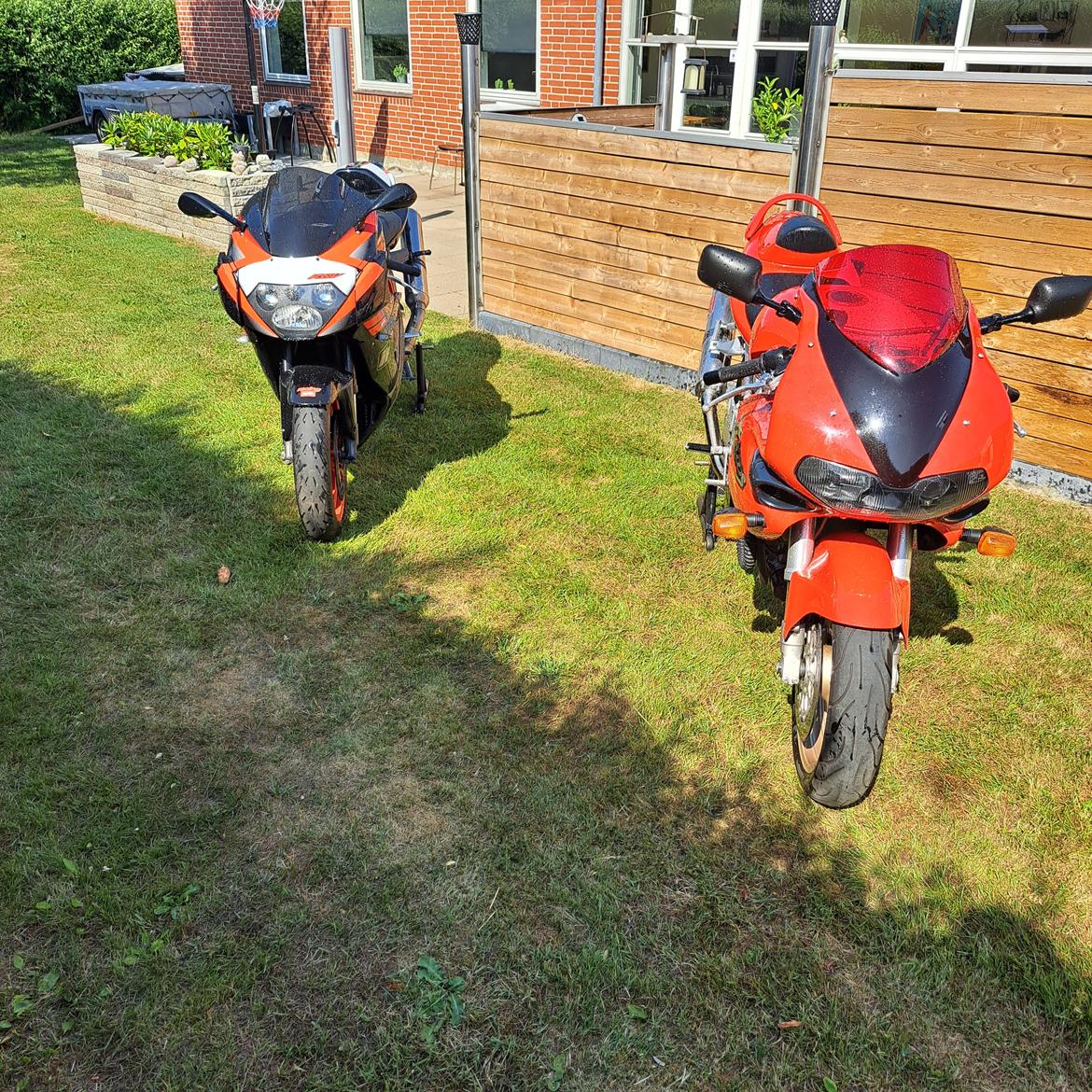 Suzuki TL 1000 S billede 23