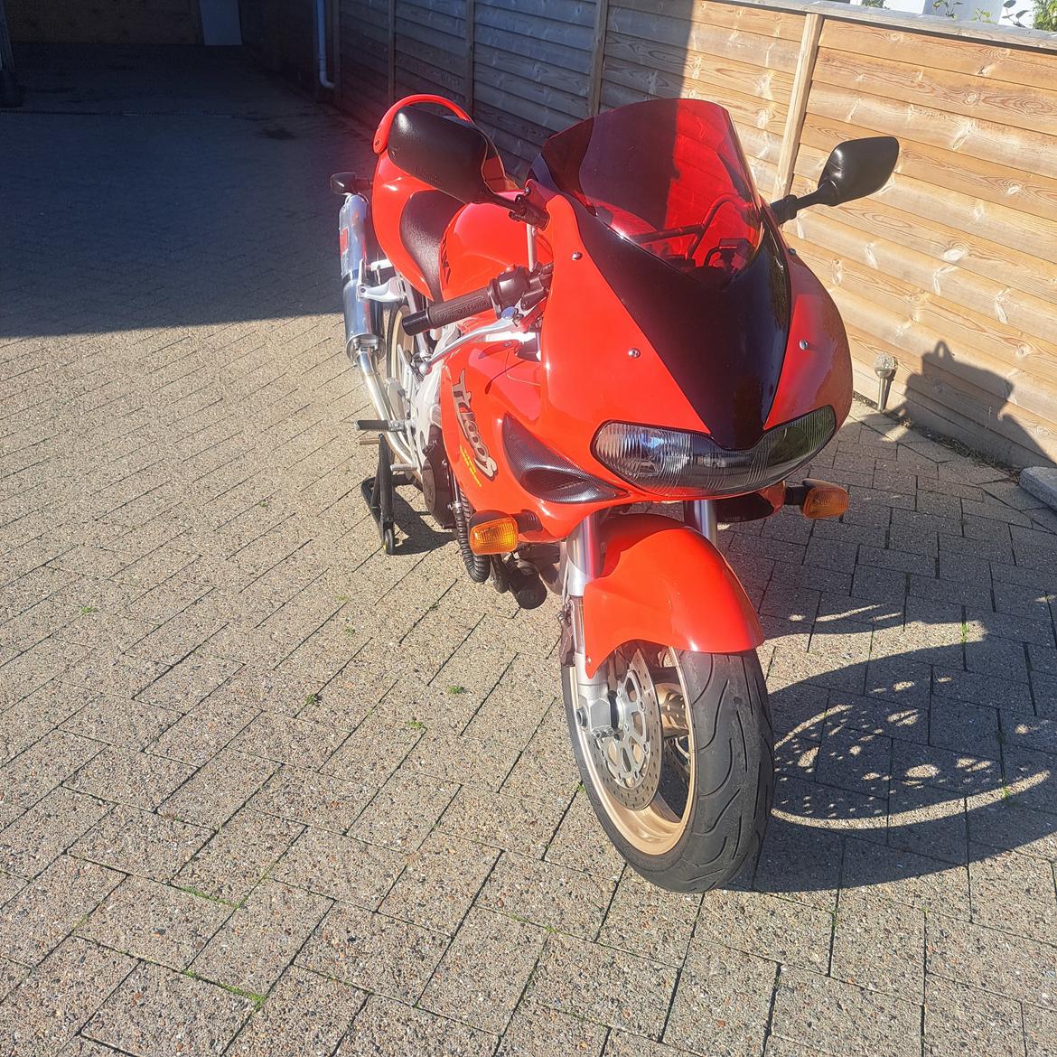 Suzuki TL 1000 S billede 7