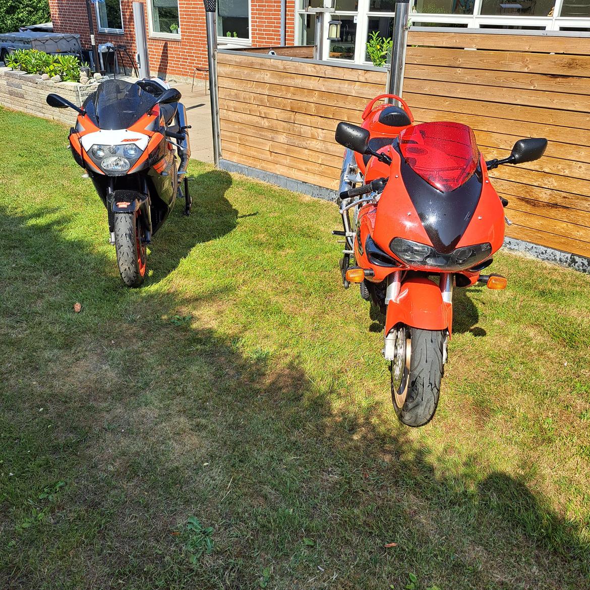 Suzuki TL 1000 S billede 20