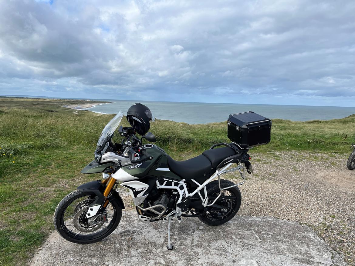 Triumph Tiger 900 Rally Pro billede 1