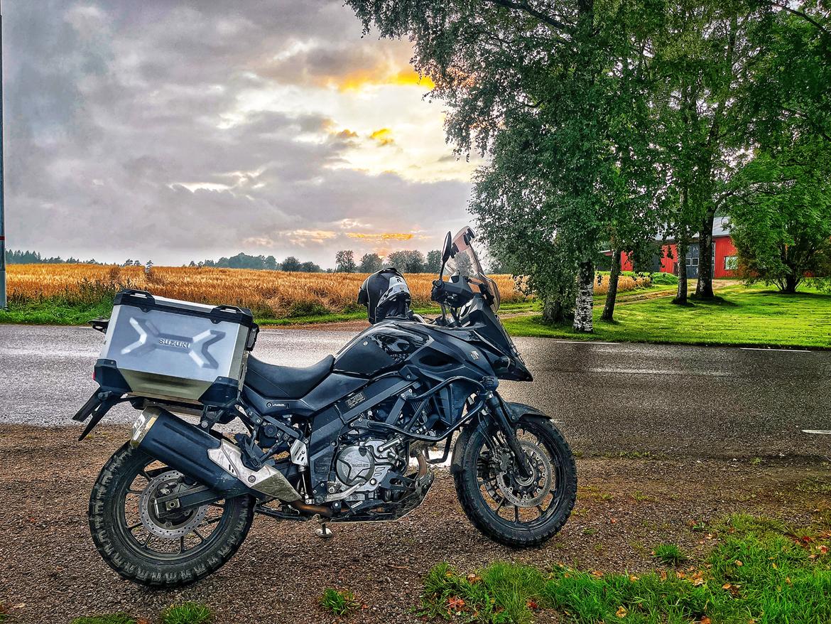 Suzuki DL650 - V-strom billede 1