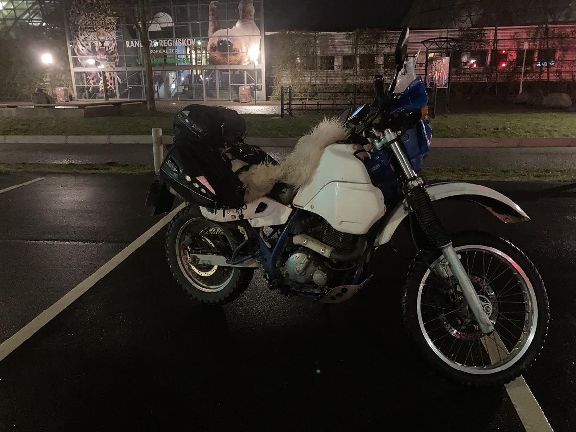 Suzuki DR650RE billede 28