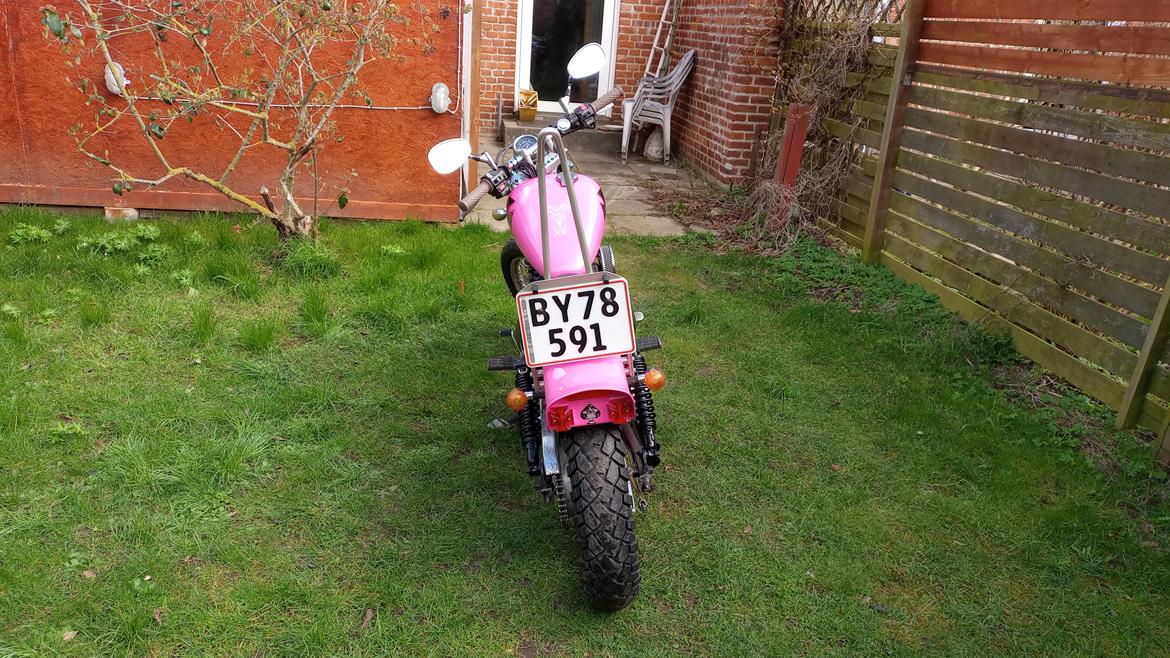 Yamaha xv250 (Pinkie) Build By Nemesis's Custom Garage billede 8