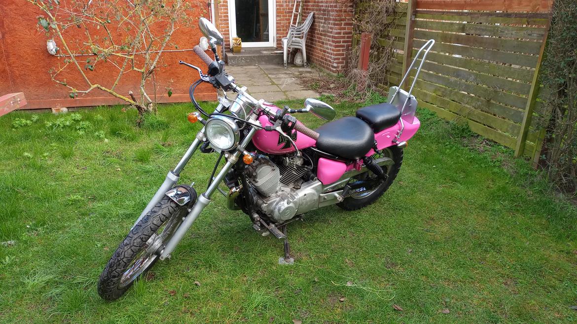 Yamaha xv250 (Pinkie) Build By Nemesis's Custom Garage billede 5