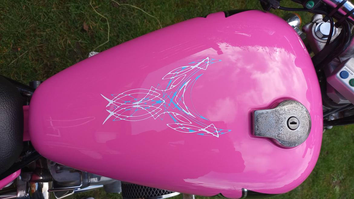 Yamaha xv250 (Pinkie) Build By Nemesis's Custom Garage billede 10