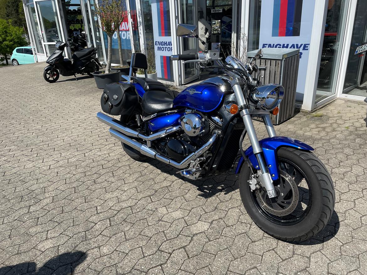 Suzuki M800 intruder billede 2