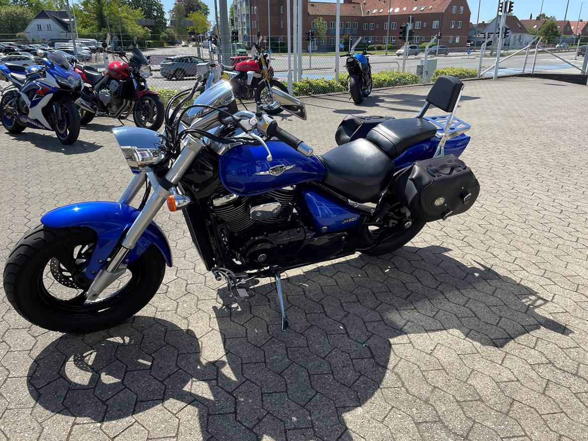 Suzuki M800 intruder billede 6
