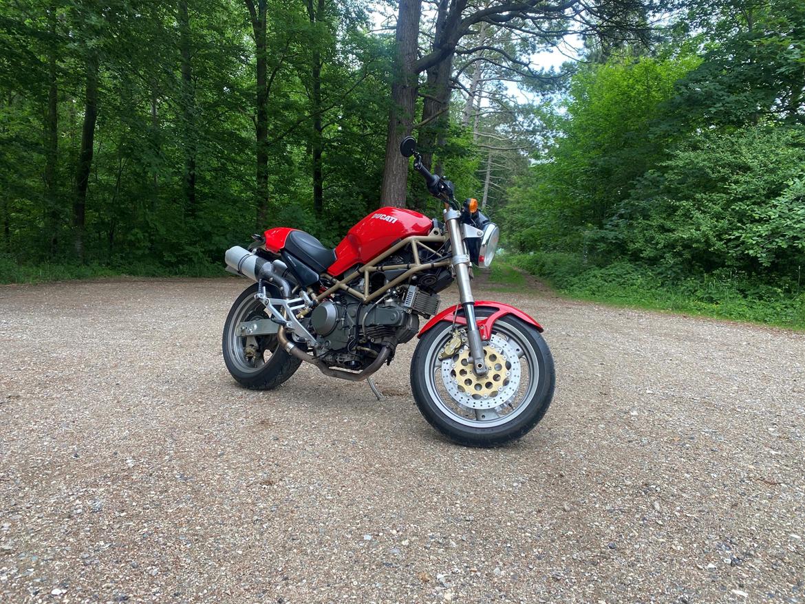 Ducati Monster 900 billede 1