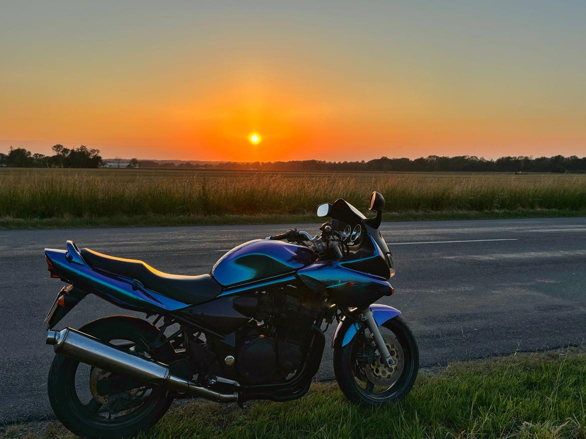 Suzuki Gsf 600S bandit  billede 5