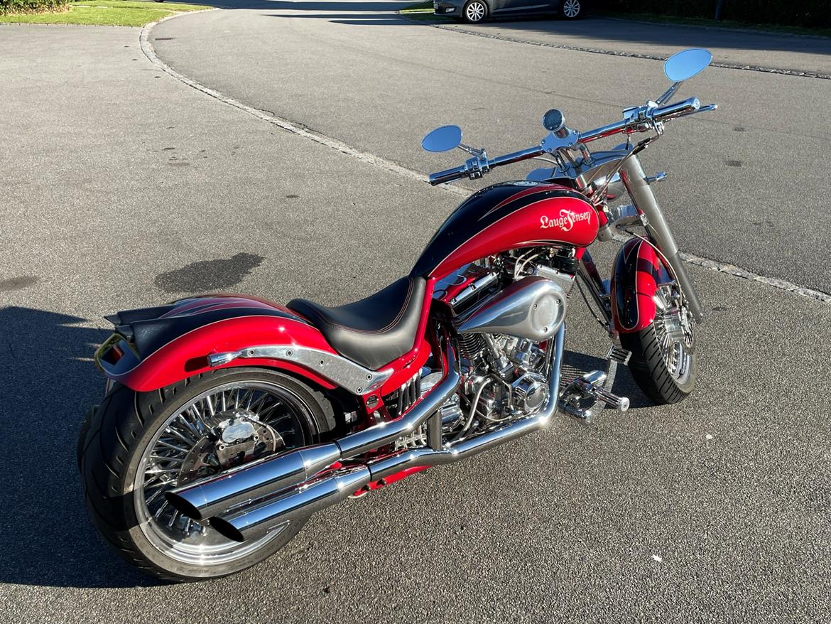 Lauge Jensen Great Dane billede 19