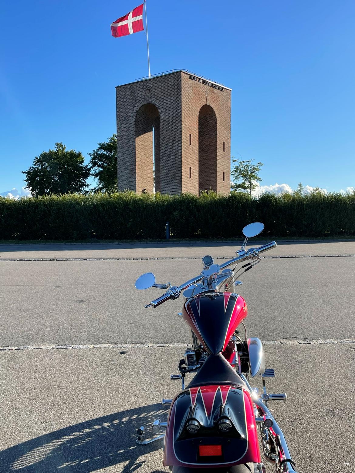 Lauge Jensen Great Dane billede 20