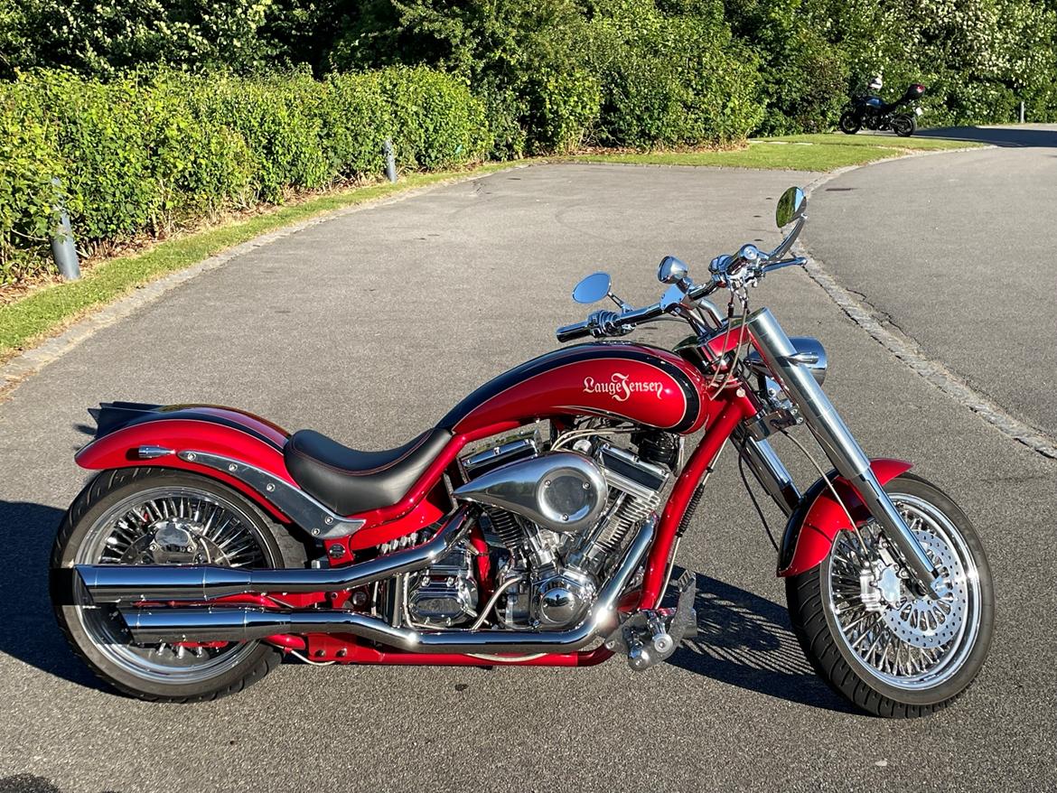 Lauge Jensen Great Dane billede 18