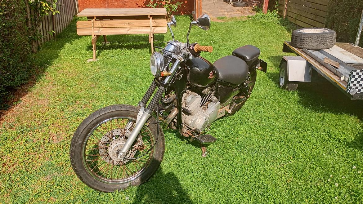 Yamaha xv250 Virago billede 5