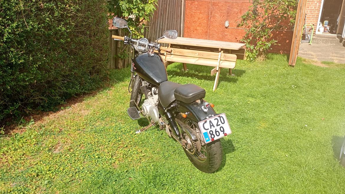 Yamaha xv250 Virago billede 7