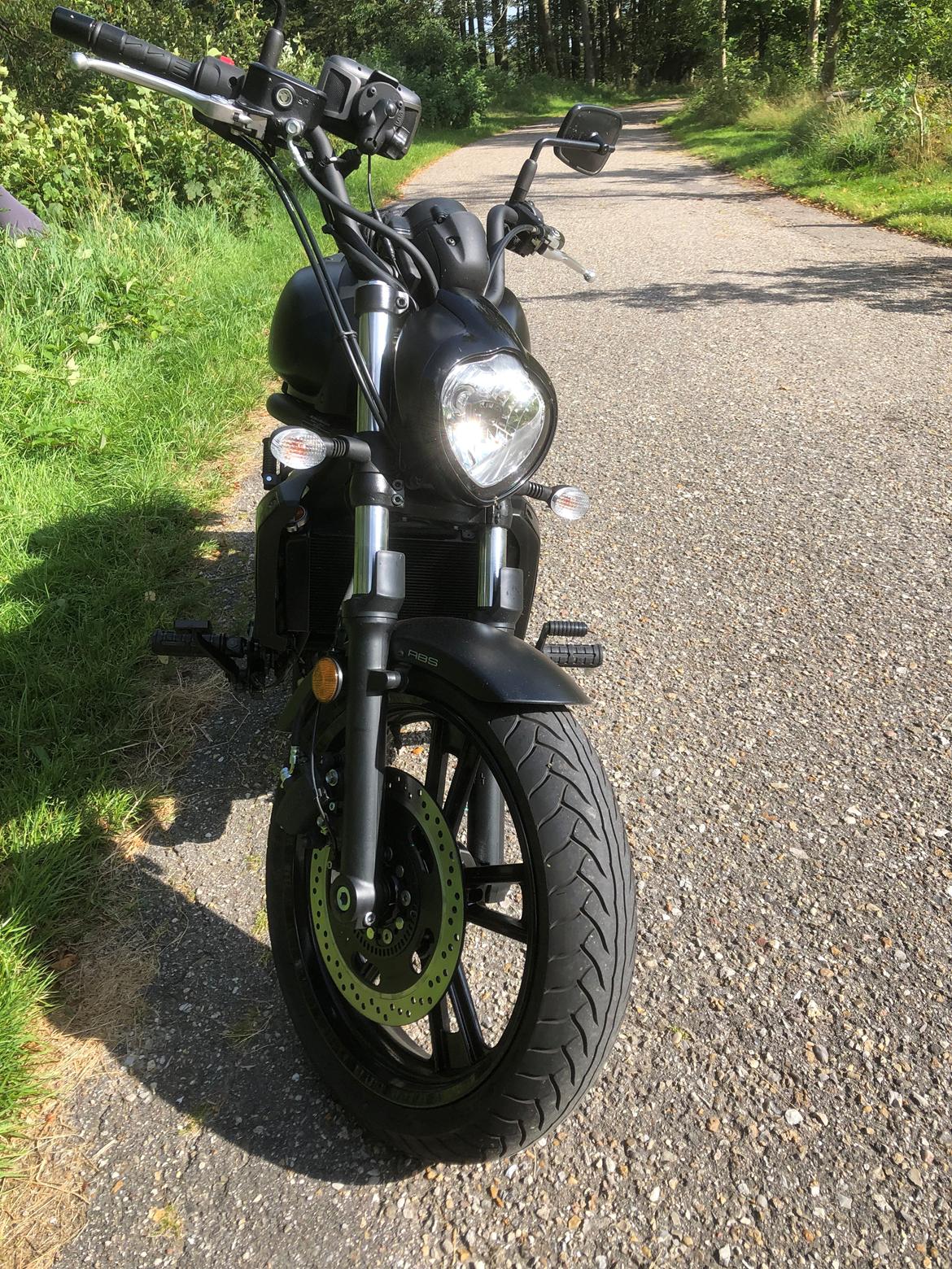 Kawasaki Vulcan 650s billede 1