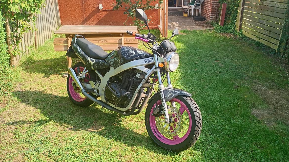 Suzuki gs500e - som den står nu billede 3