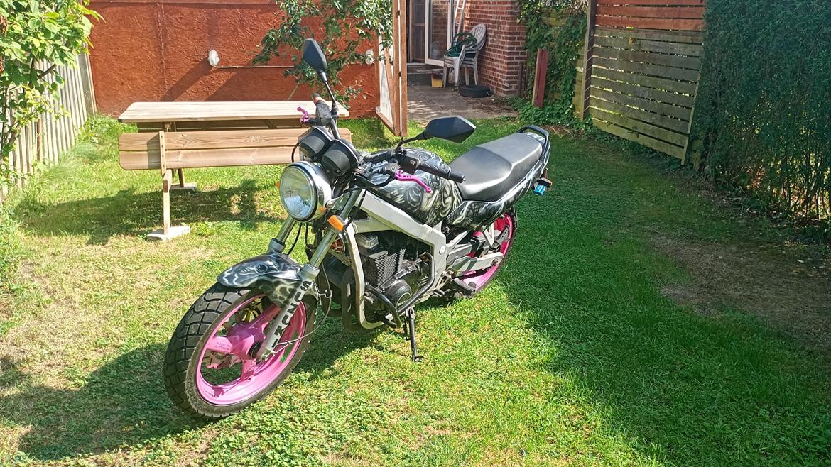 Suzuki gs500e - som den står nu billede 5