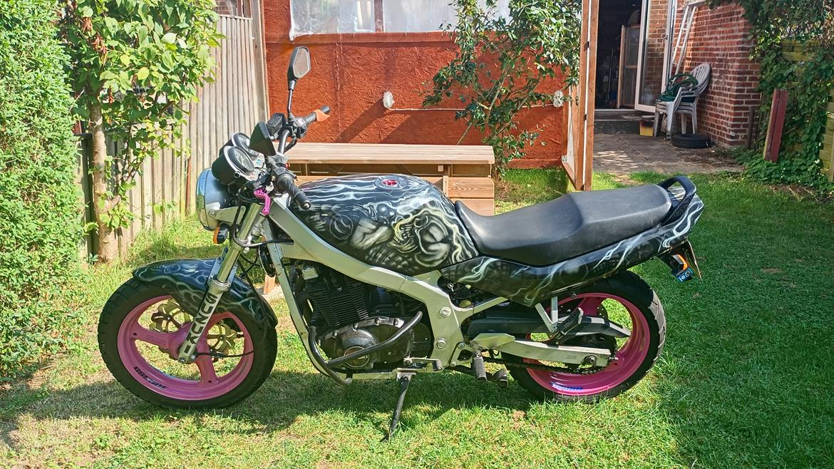 Suzuki gs500e - som den står nu billede 6