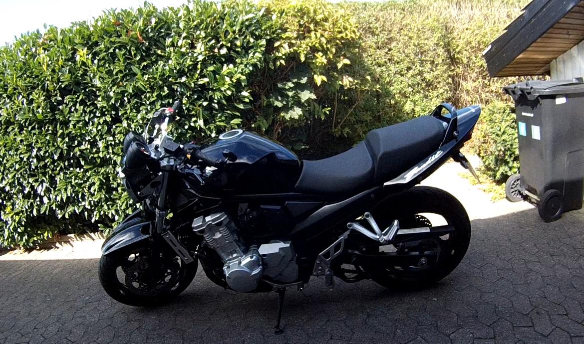 Suzuki GSF 650 Bandit billede 5