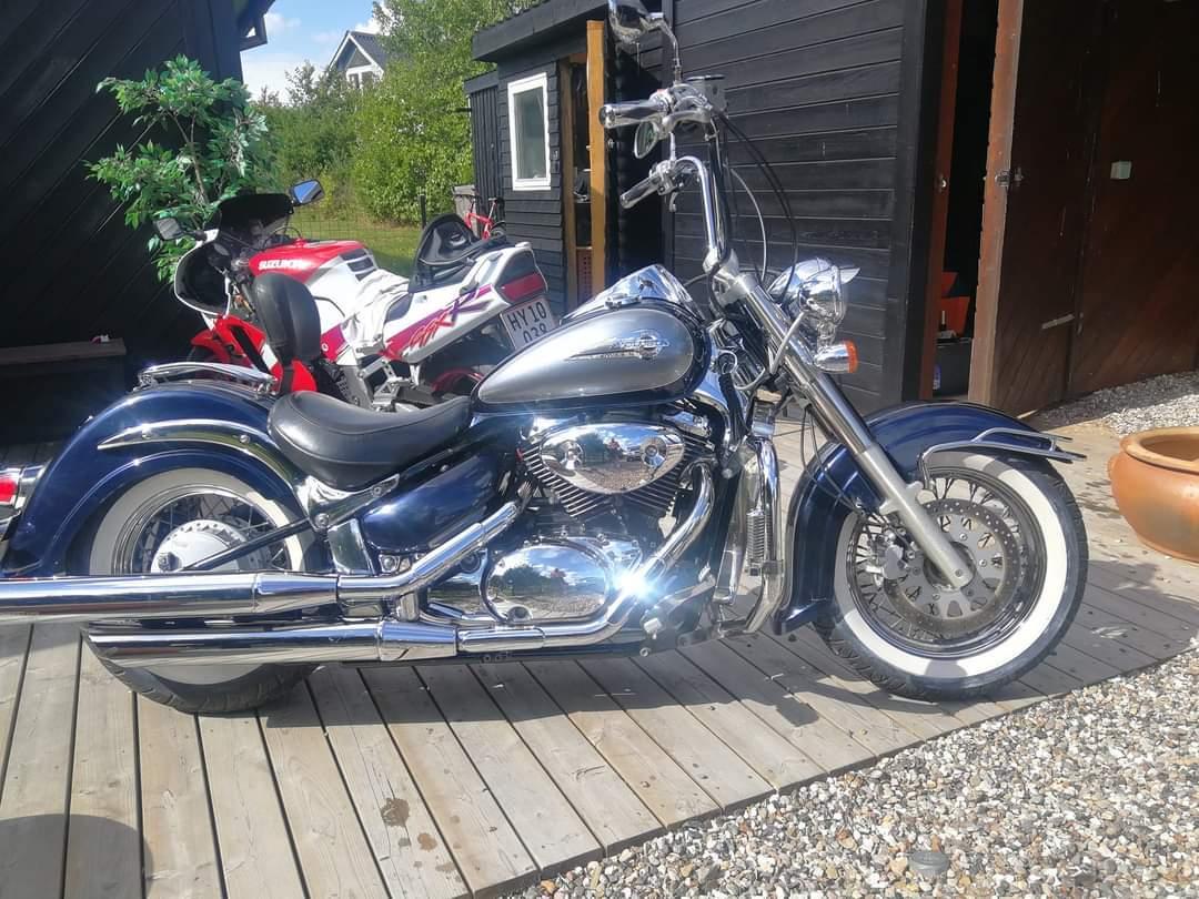Suzuki VL 800 Volusia billede 8