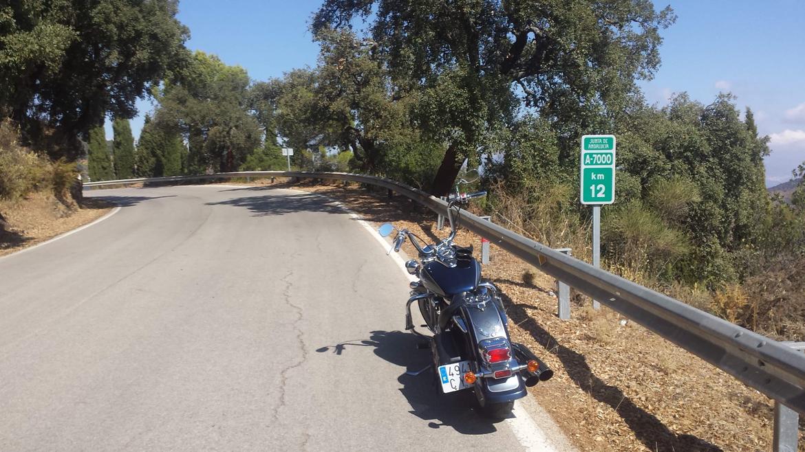 Suzuki VL 800 Volusia billede 11