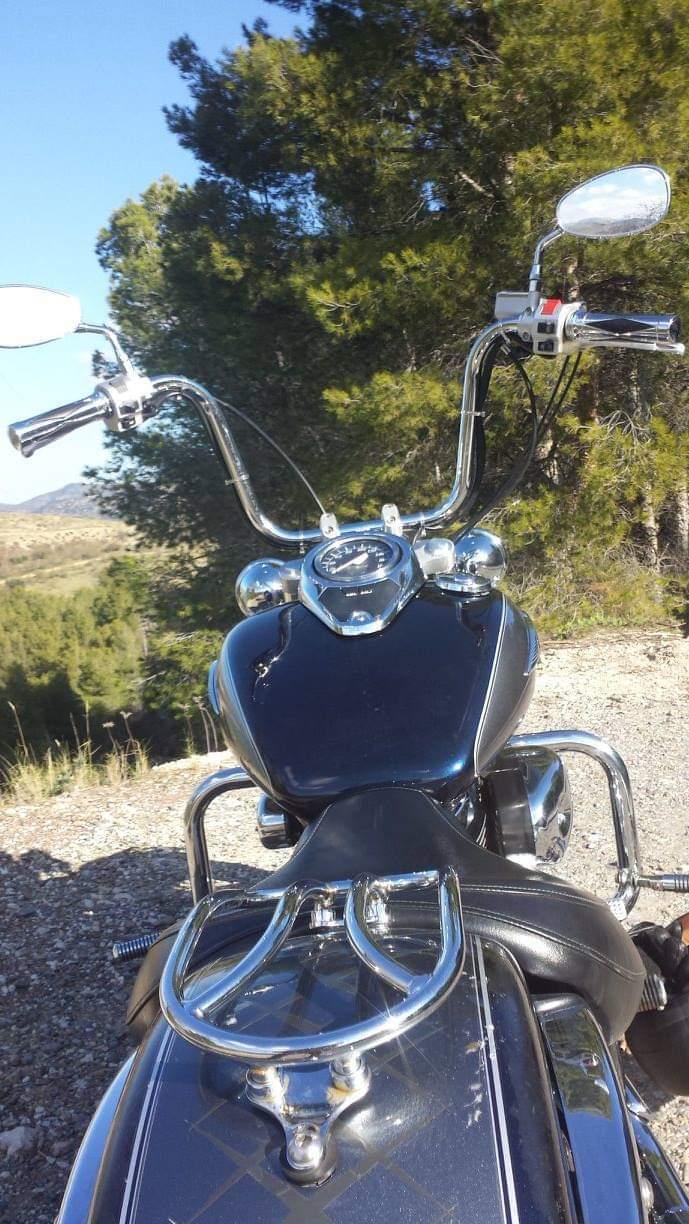 Suzuki VL 800 Volusia billede 12