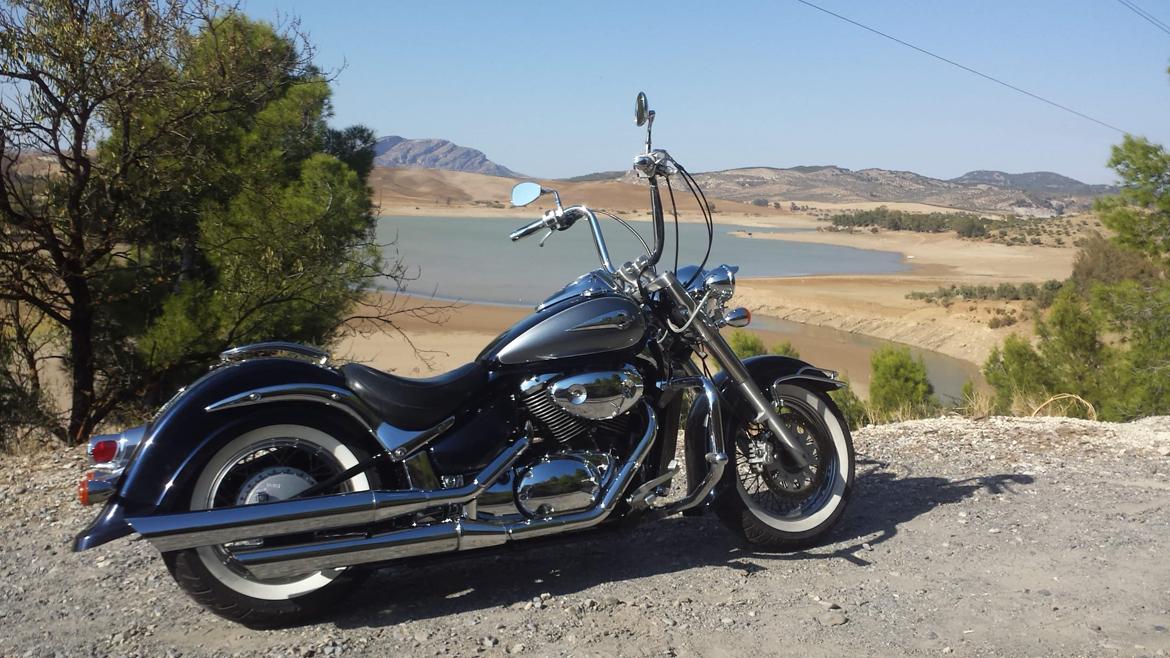 Suzuki VL 800 Volusia billede 14