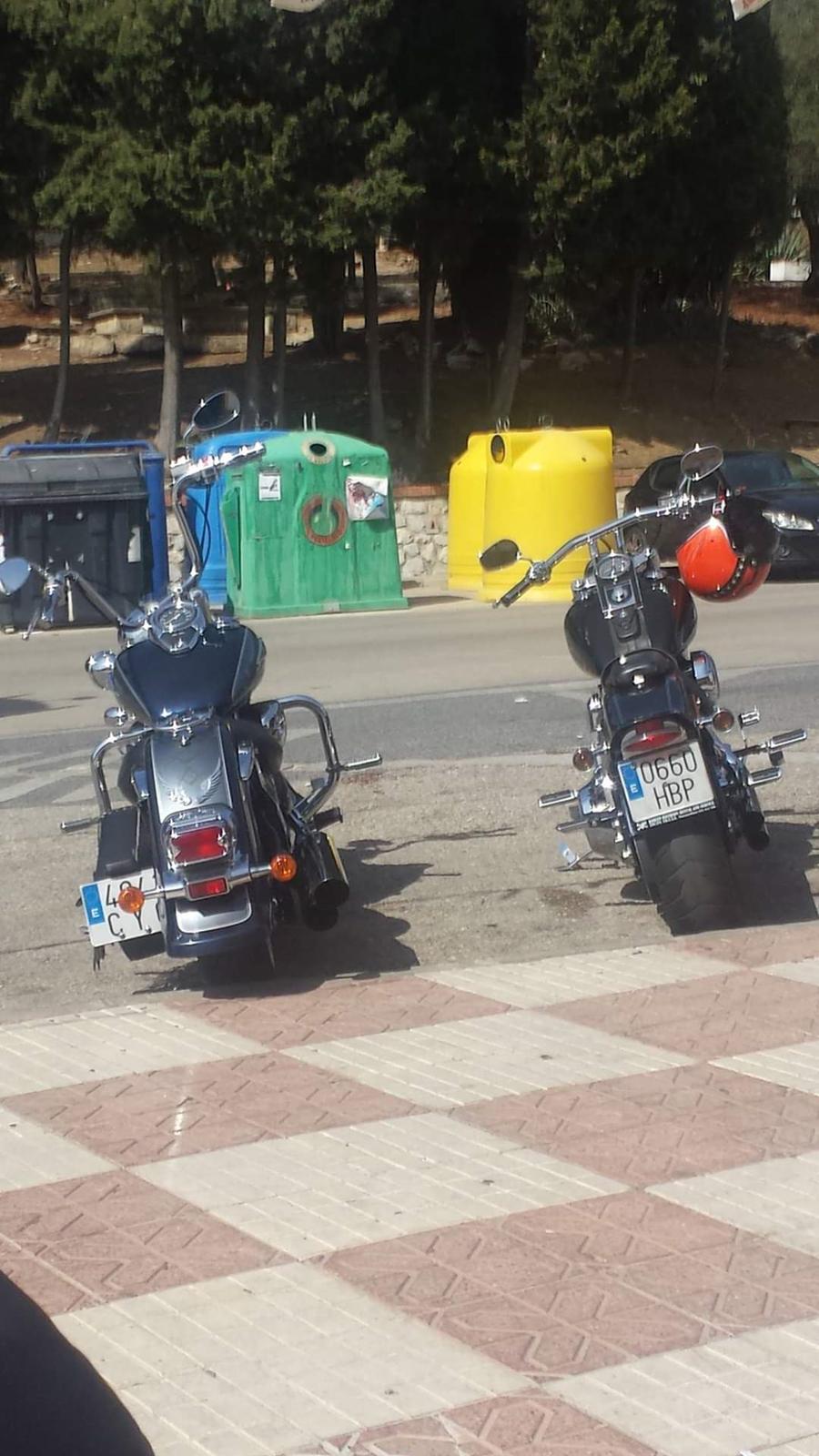 Suzuki VL 800 Volusia billede 15