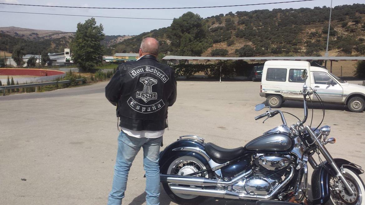 Suzuki VL 800 Volusia billede 10