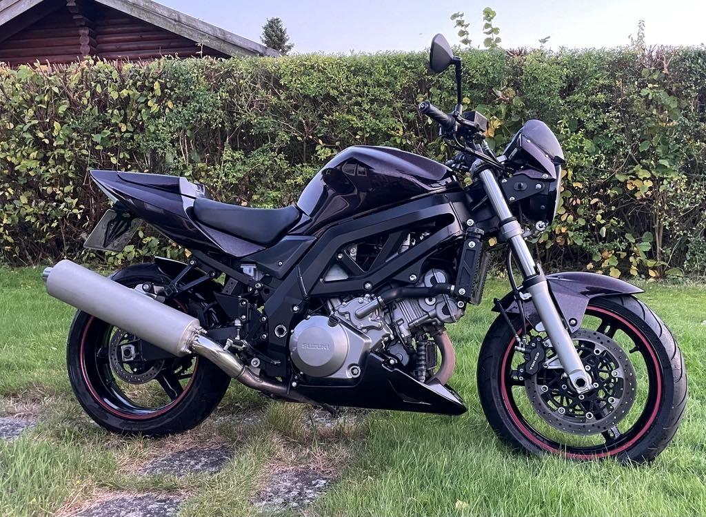 Suzuki SV1000N billede 2