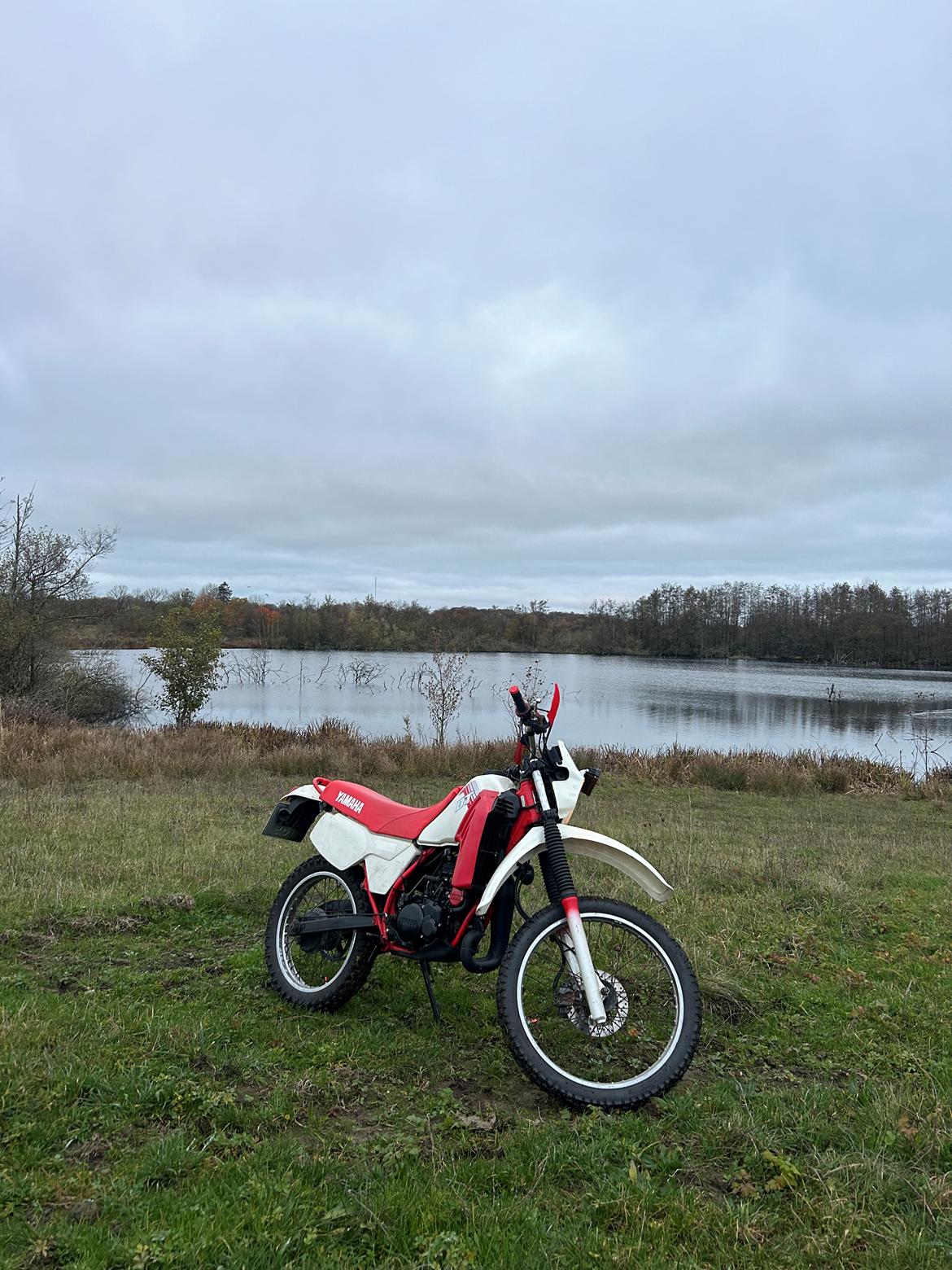 Yamaha DT 125LC billede 4