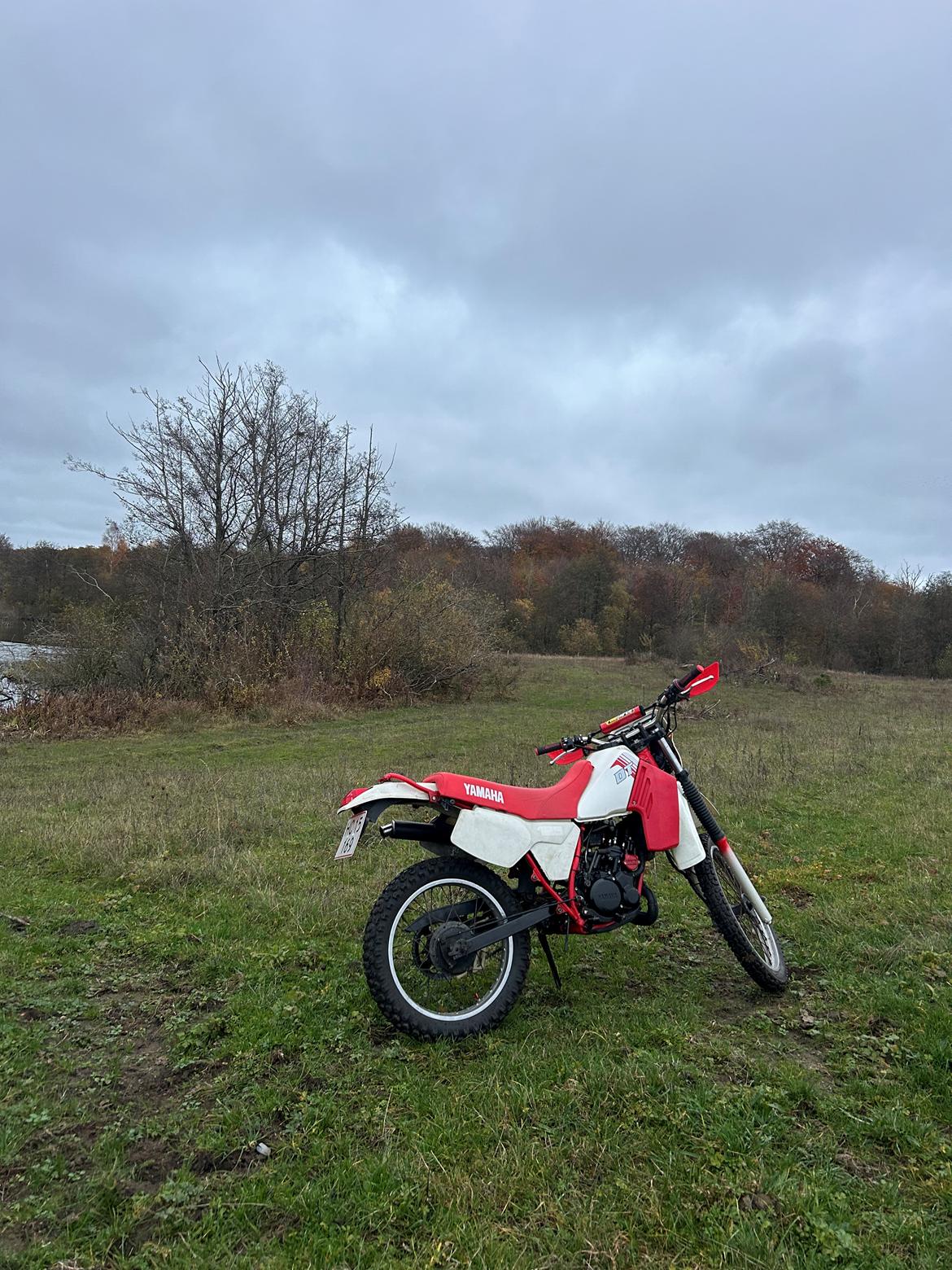 Yamaha DT 125LC billede 5