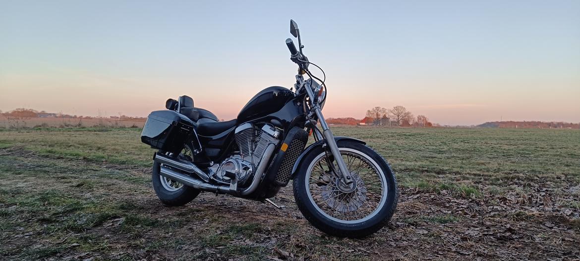 Suzuki VS 700 GLG Intruder billede 10