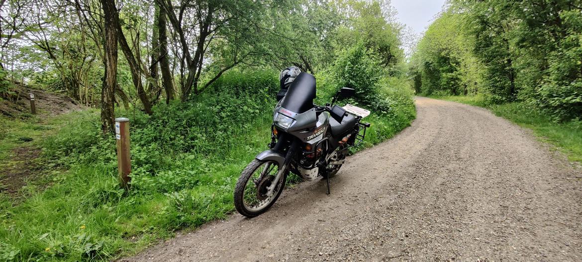Honda Xl600V Transalp billede 7