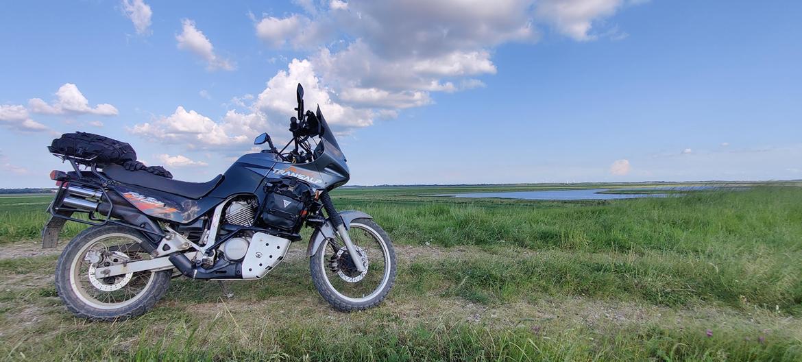 Honda Xl600V Transalp billede 8