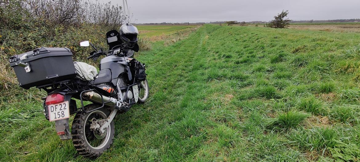 Honda Xl600V Transalp billede 21