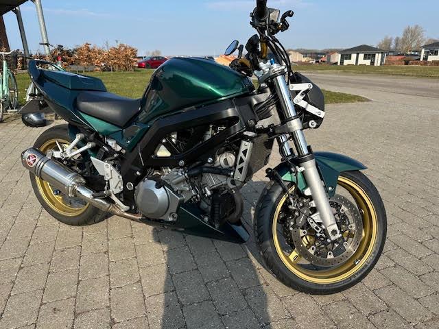 Suzuki SV 1000 billede 5
