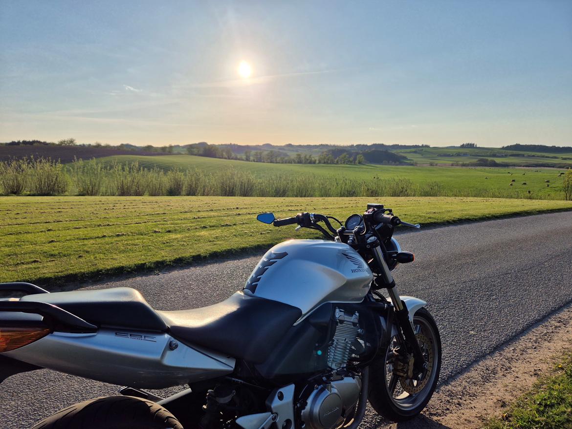 Honda CBF 500 billede 1