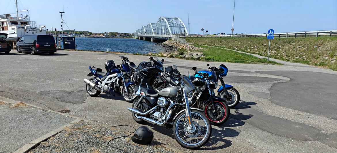 Harley Davidson Sporster 1200 ccm (SOLGT) billede 25