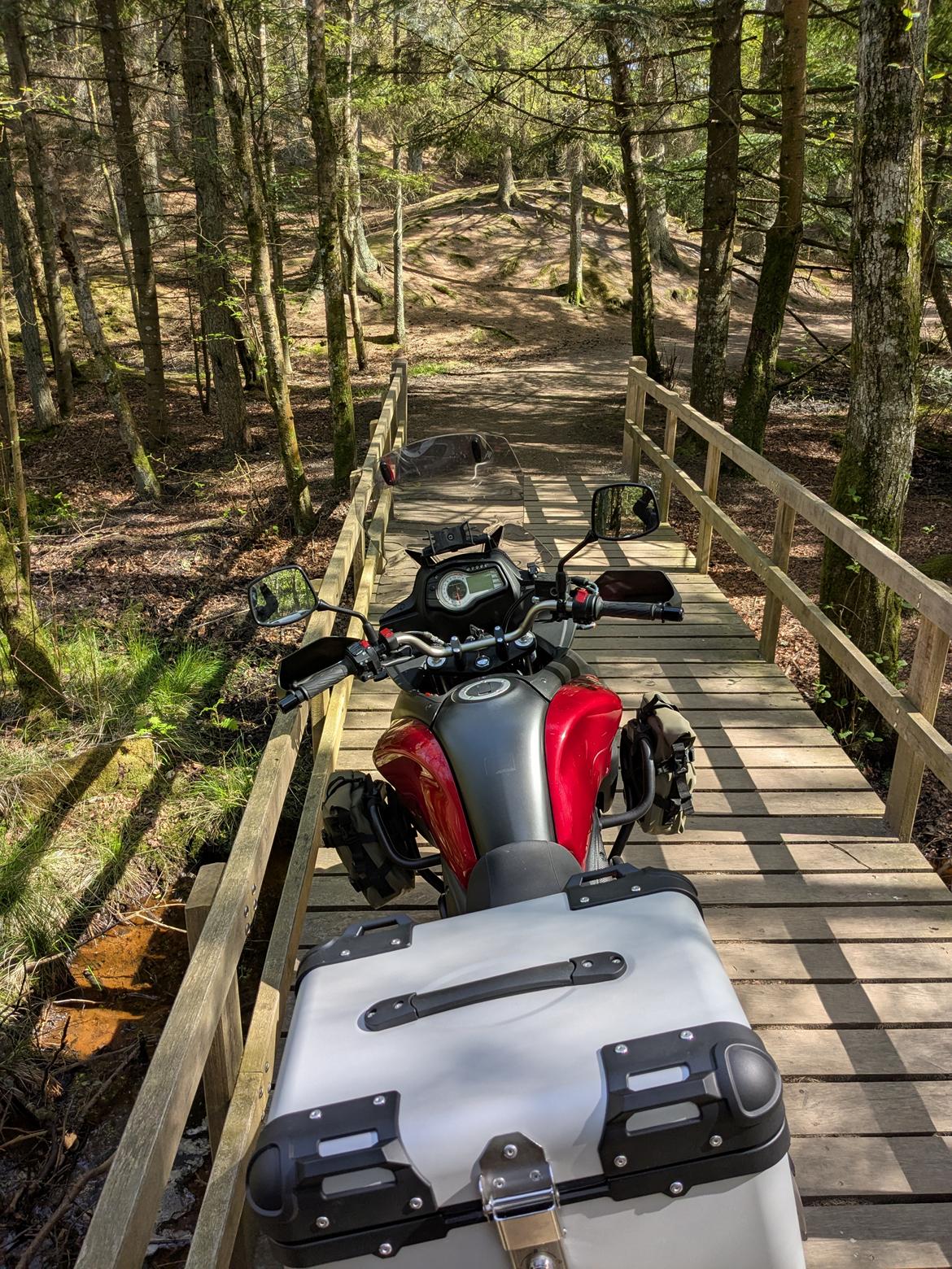 Suzuki DL 650 V-strom billede 8