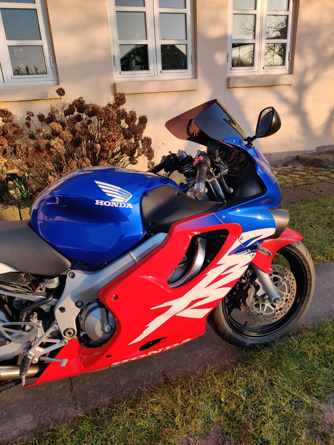 Honda CBR600 F4 Ultima Light billede 5