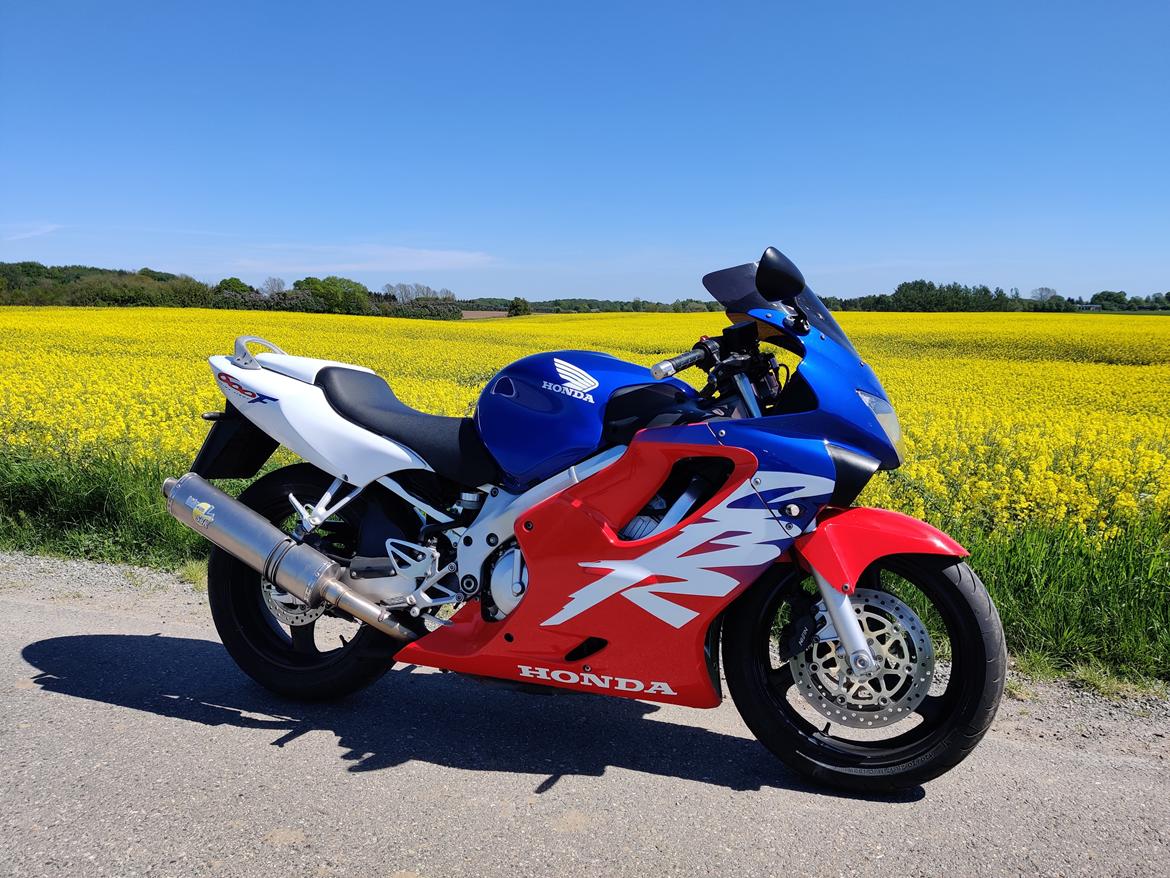 Honda CBR600 F4 Ultima Light billede 4