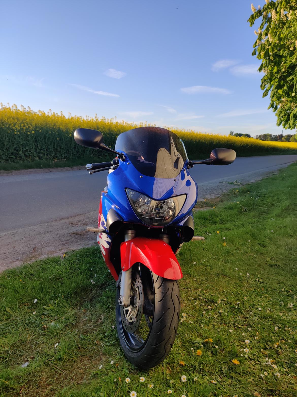 Honda CBR600 F4 Ultima Light billede 3