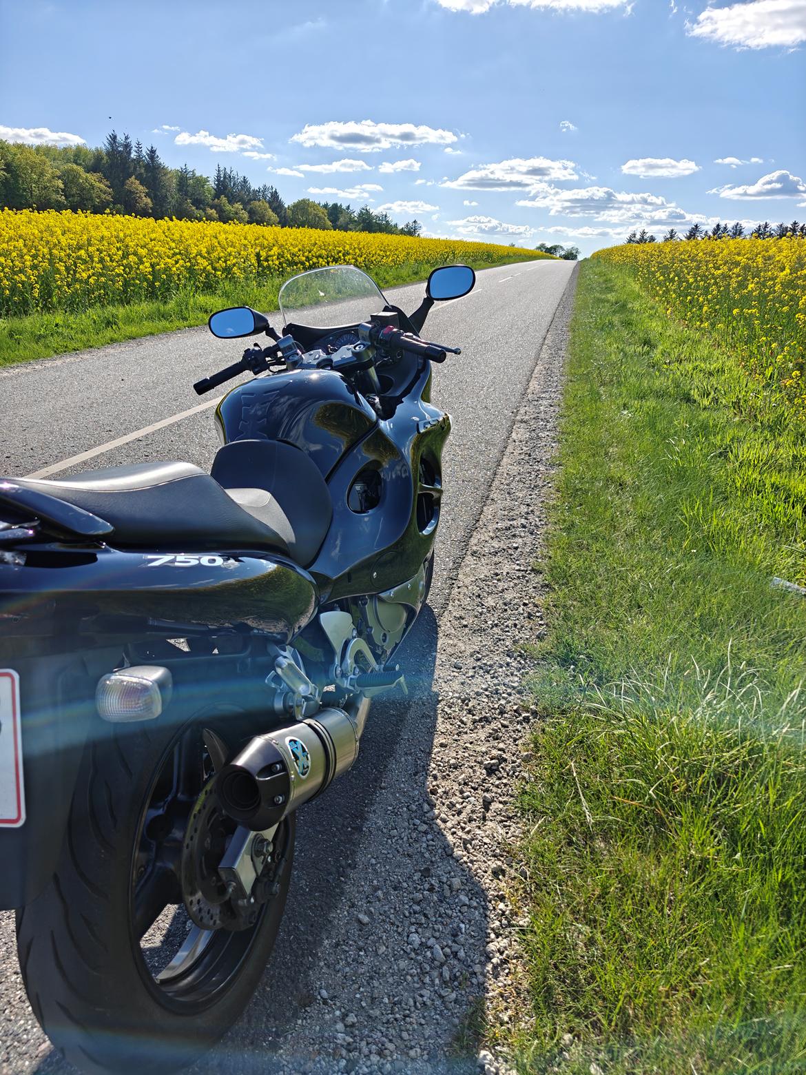 Suzuki GSX750 F billede 23
