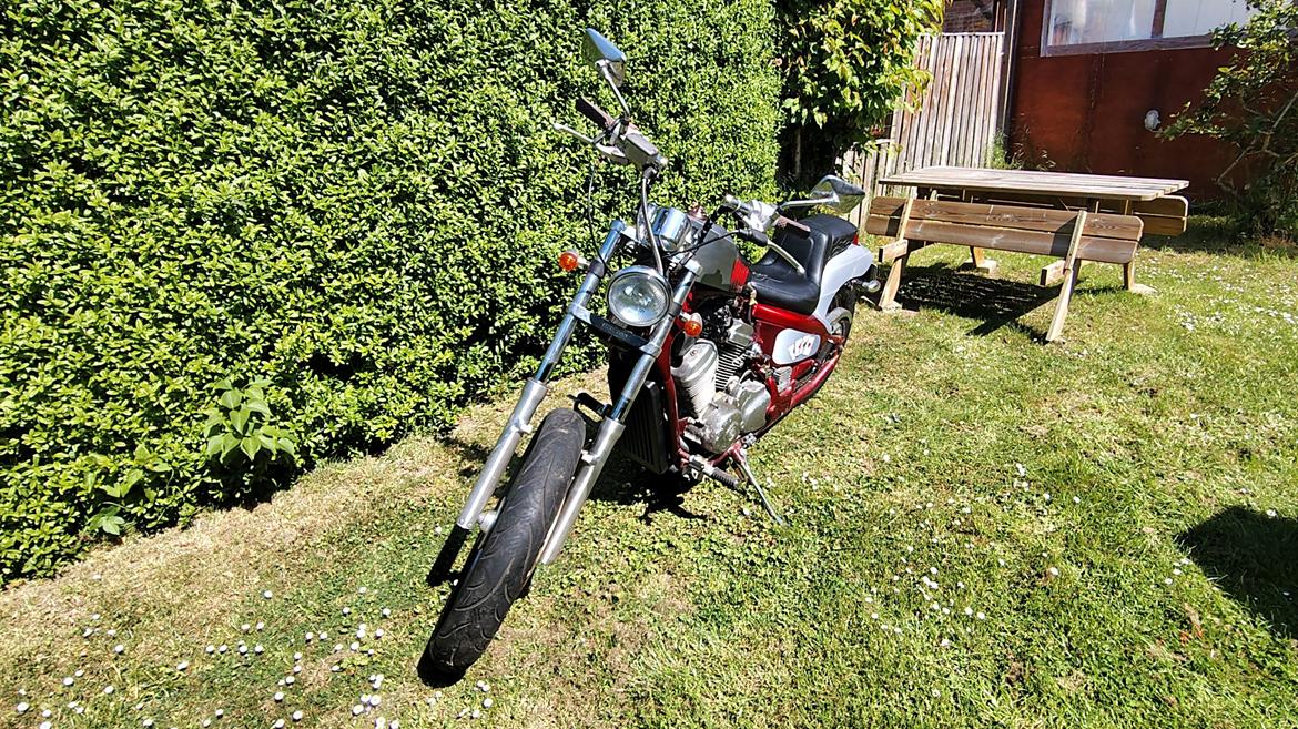 Honda vt600 Shadow Build By Nemesis's Custom Garage billede 8