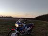 Honda XRV 650J Africa Twin RD03