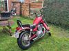 Suzuki VS 750 intruder (Trudolf)