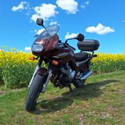 Yamaha XJ600 Diversion